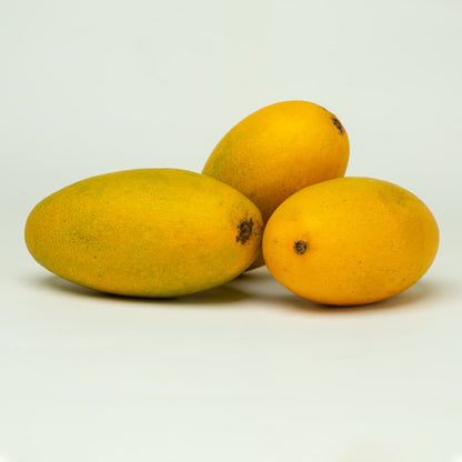 Dasheri Mango