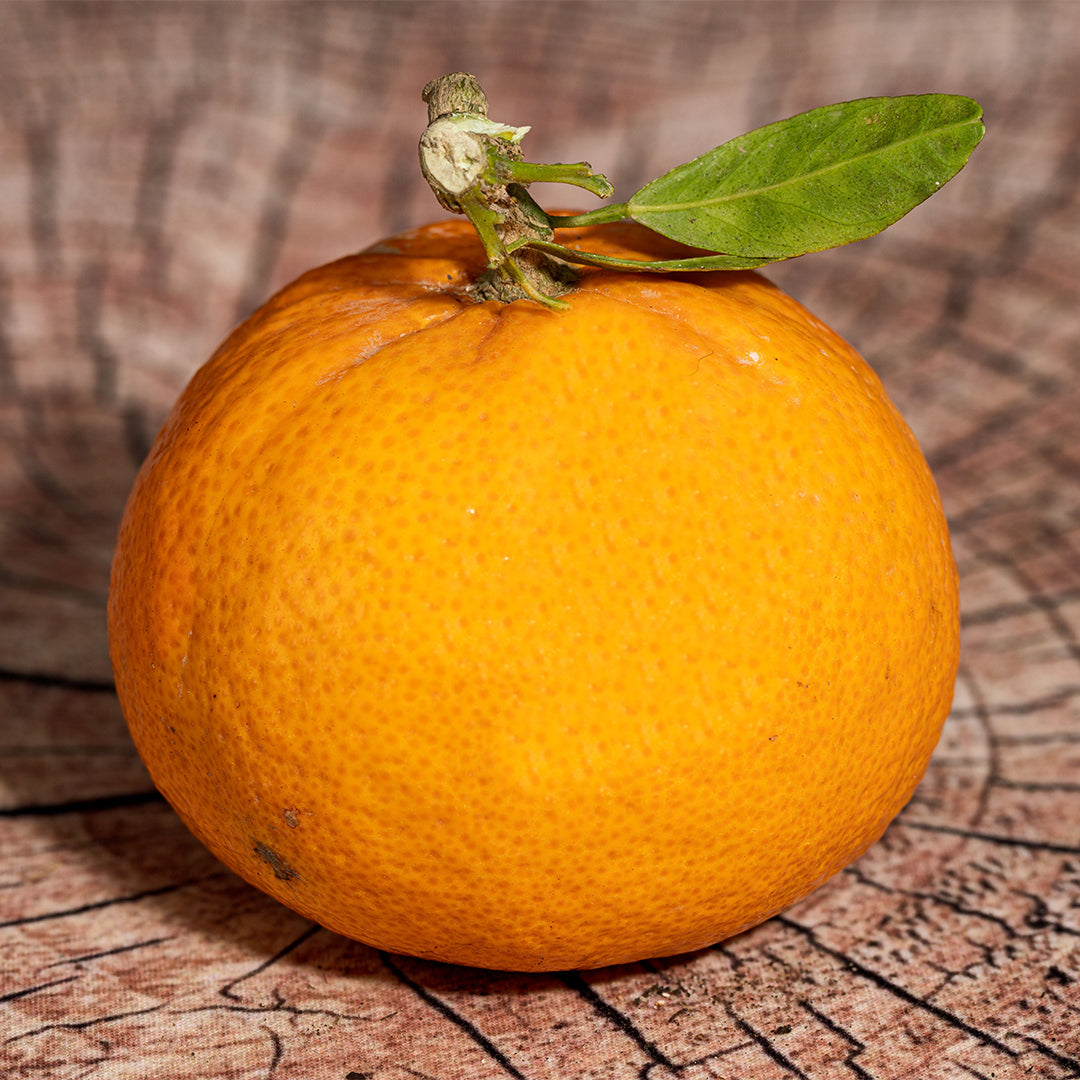 Mandarin Orange