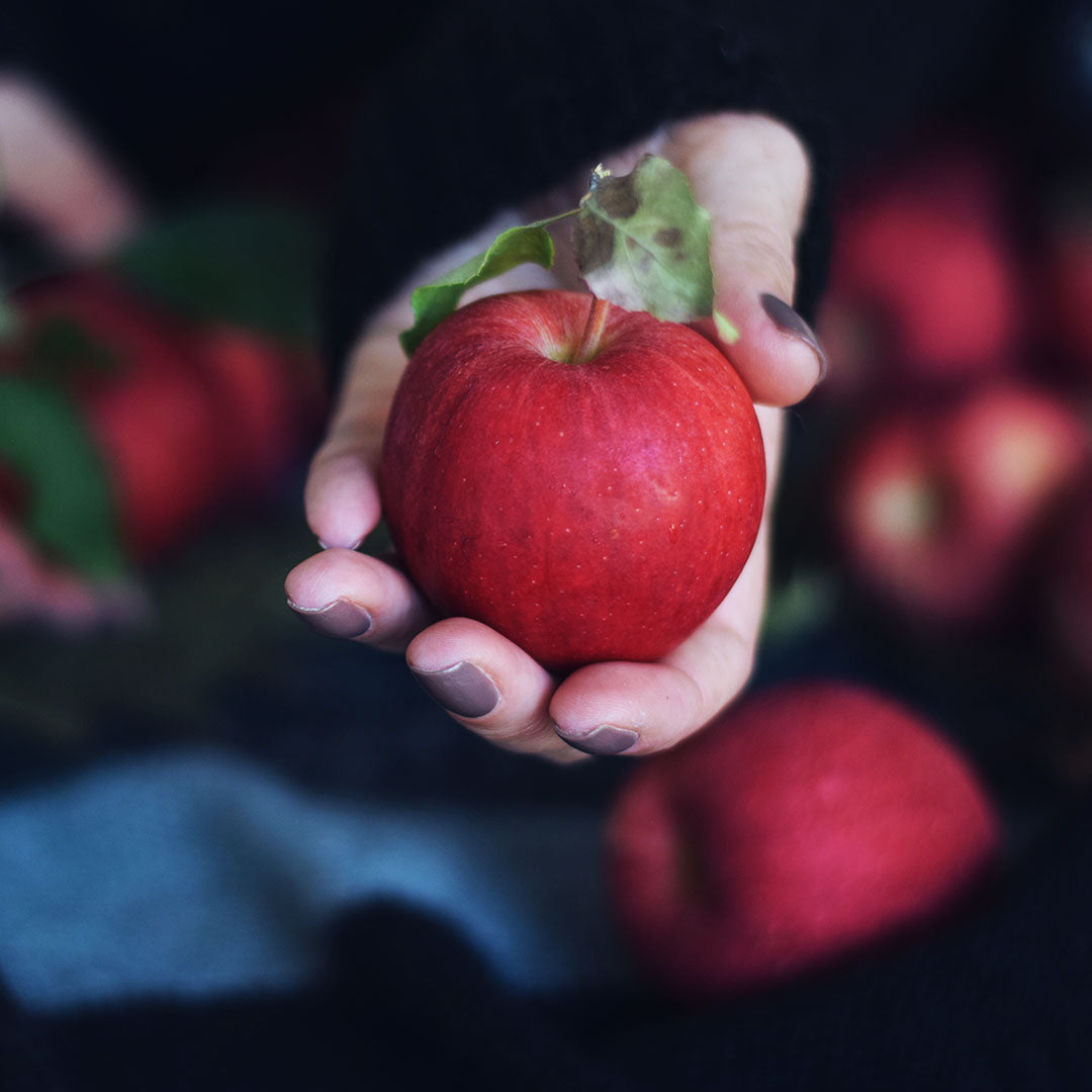 Apple Kinnaur