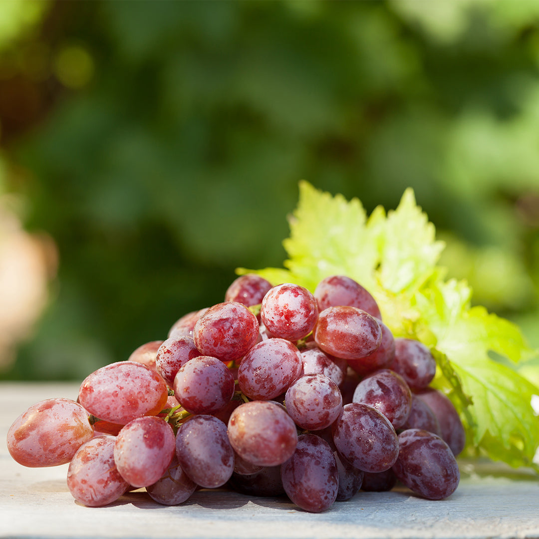 Red Grapes