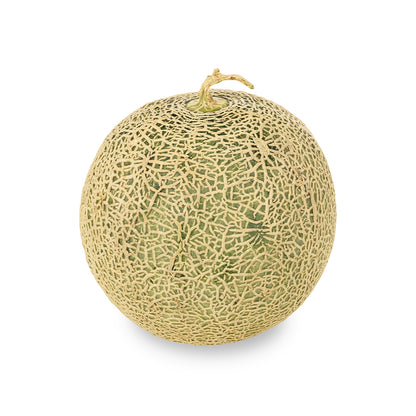 Musk Melon