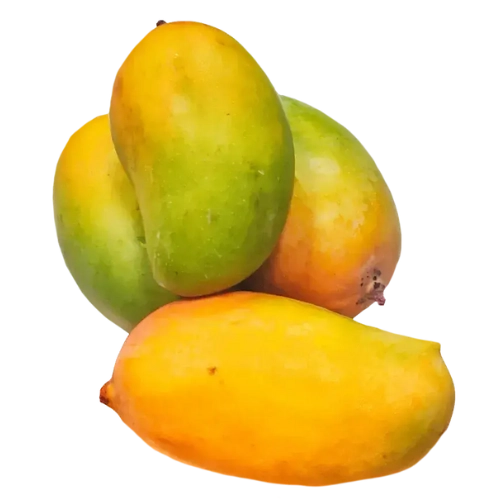 Kesar Mango