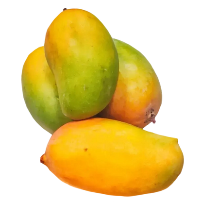 Kesar Mango