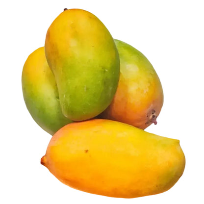 Dasheri Mango