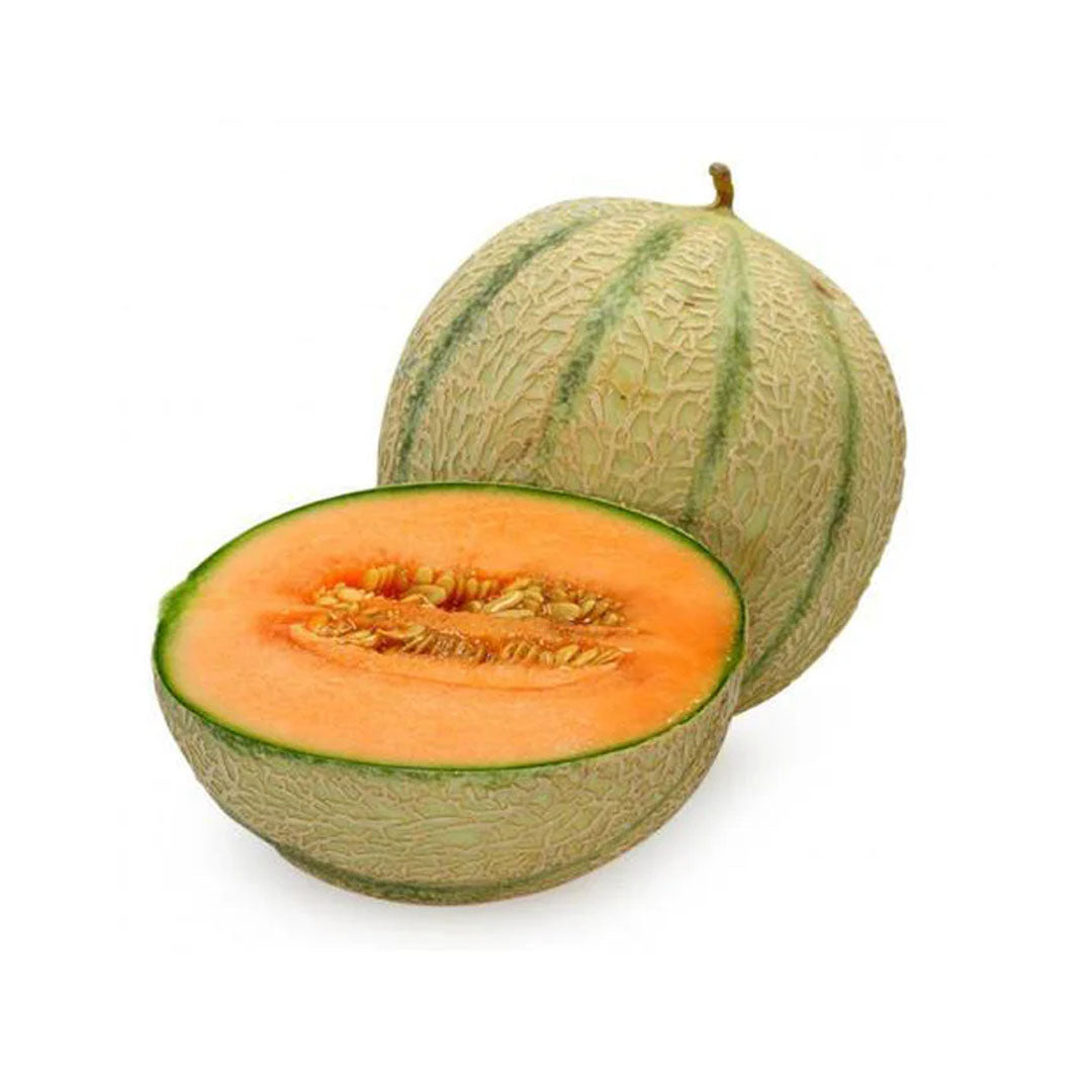 Musk Melon